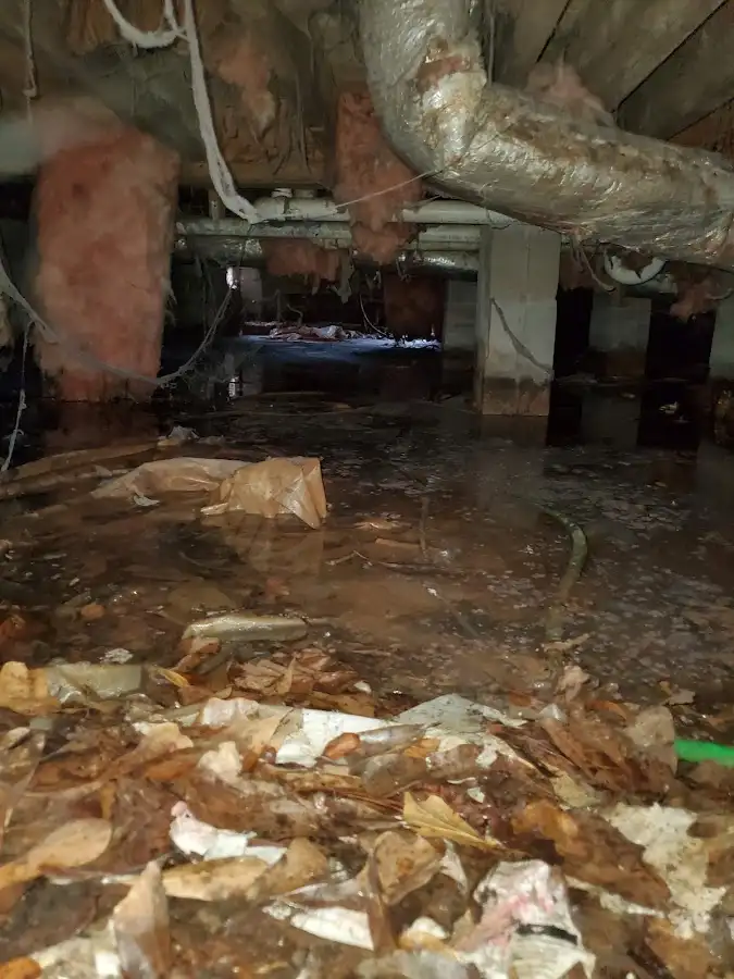 Crawl space flood assessment for Commercial Water Damage Restoration in Laurel Bay